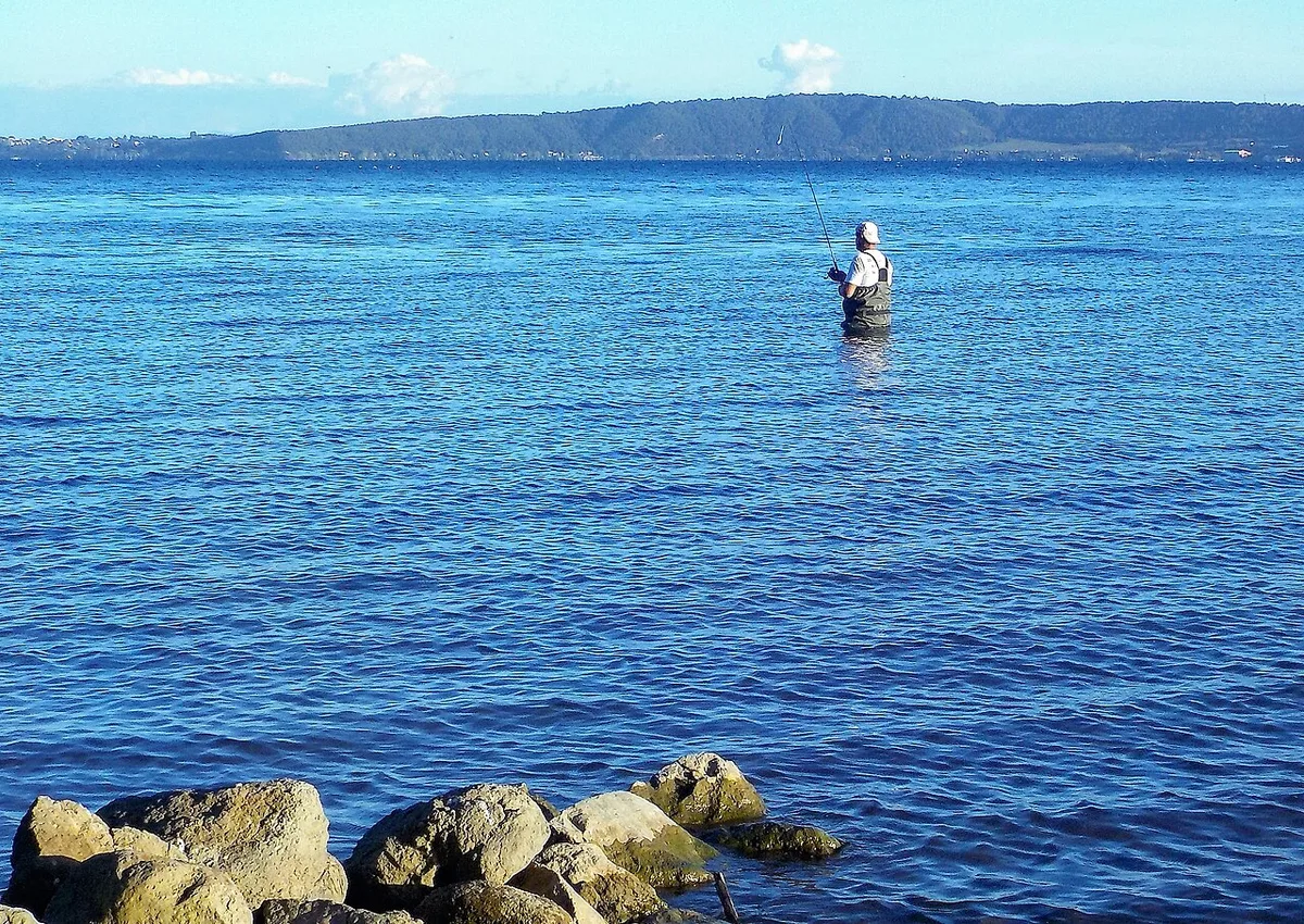 Kalastaja kahlaa järvessä virvelin kanssa